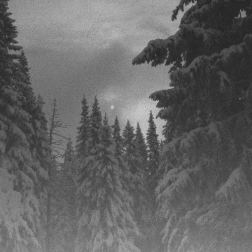 Vintlechkeit : Is Vidder...